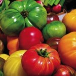 Assortment of heirloom tomatoes