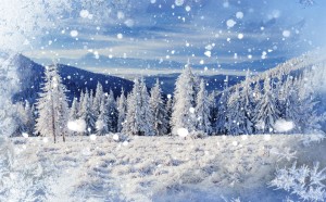 magical winter snow covered tree, background with some soft high